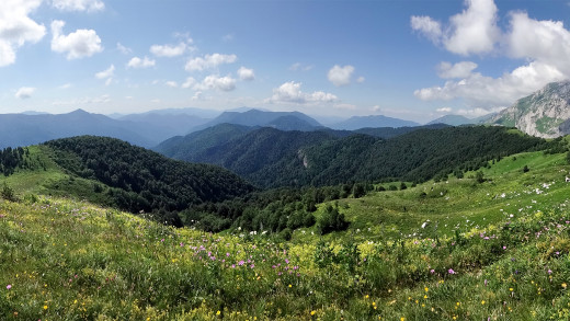 1155684 (a): :1920x1080